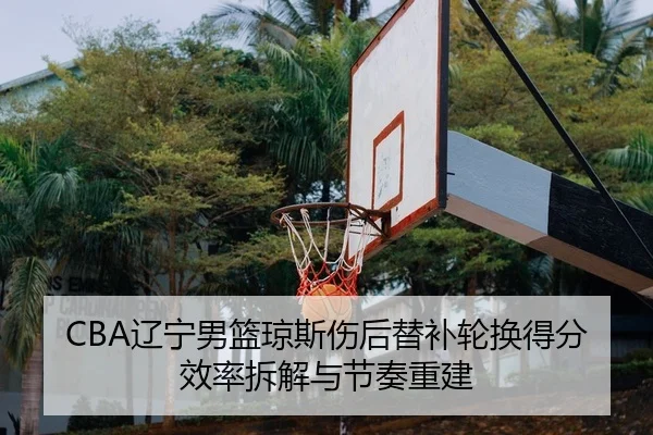 liao-ning-nan-lan-qiong-si-shang-hou-ti-bu-lun-huan-de-fen-xiao-lv-chai-jie-yu-jie-zou-chong-jian-2-406.jpg